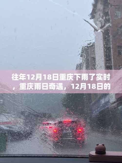 重庆雨日奇遇,温馨时光下的雨幕回忆(12月18日)