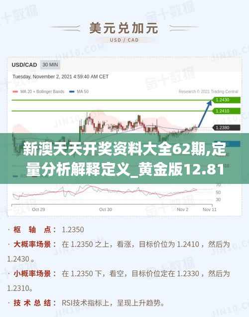 新澳天天开奖资料大全62期,定量分析解释定义_黄金版12.816