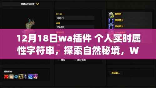 WA插件个人实时属性字符串,探索自然秘境的奇妙之旅