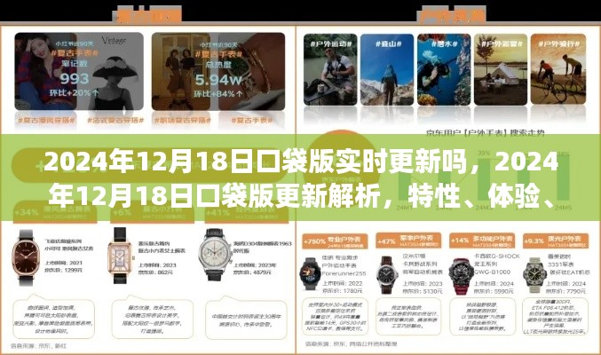 2024年口袋版更新解析,特性、体验、竞争与用户需求洞察