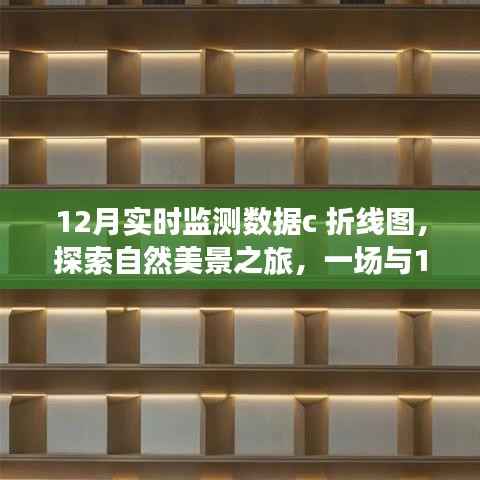 12月实时监测数据折线图,自然美景探索之旅的奇妙导览