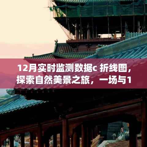12月实时监测数据折线图,自然美景探索之旅的奇妙导览