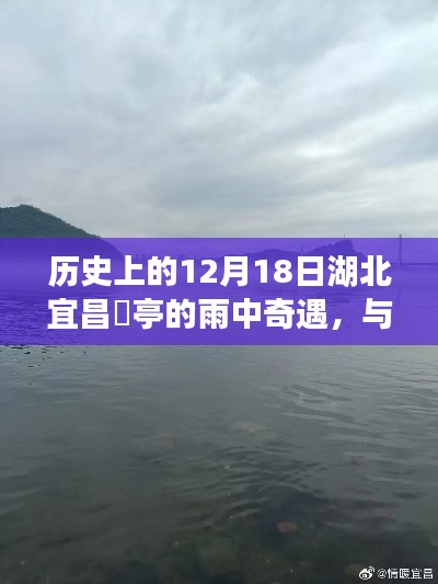 湖北宜昌猇亭雨中奇遇,与自然共舞,探寻内心宁静的历程