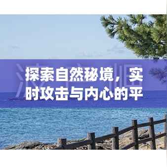 自然秘境探索,攻击与内心平静的双重旅程