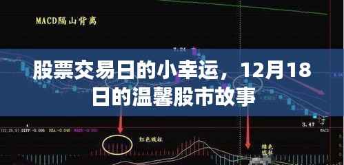 12月18日股市小幸运,温馨故事中的投资喜悦