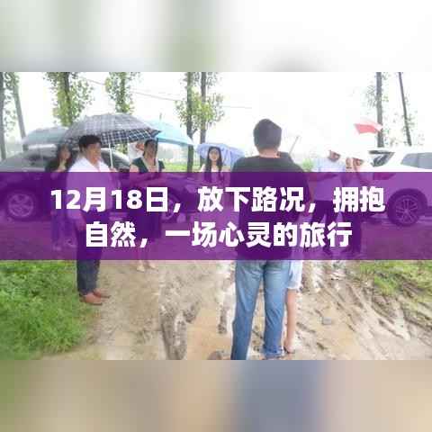 12月18日,放下繁忙,与自然共舞的心灵之旅