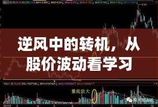 逆风中的转机，股价波动揭示学习与变化的力量