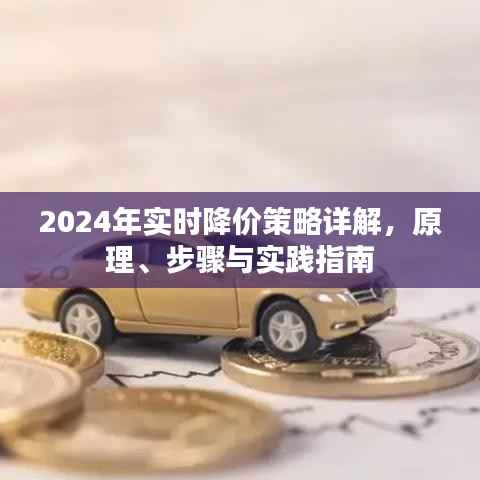 2024年实时降价策略详解,原理、步骤与实践指南