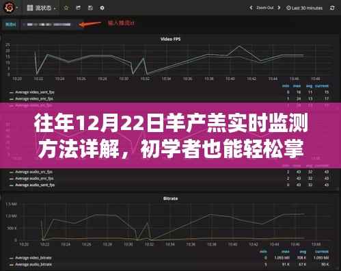 羊产羔实时监测详解,轻松掌握的技能,助力初学者应对冬季产羔高峰