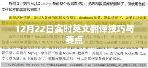 12月22日实时英文翻译技巧与要点解析