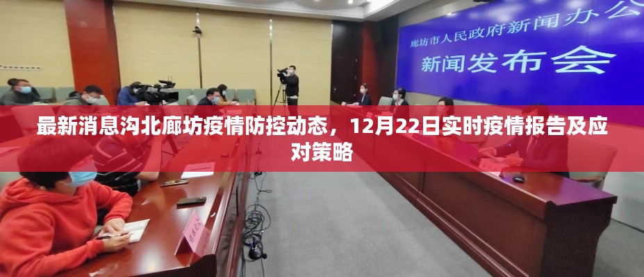 最新消息,廊坊疫情防控动态更新,实时疫情报告及应对策略(12月22日)