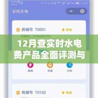实时水电费产品全面评测与介绍,深度解读十二月数据
