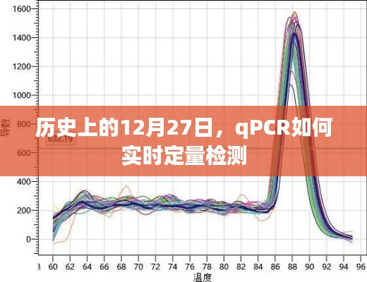 历史上重要日子背后的实时定量PCR检测技术揭秘