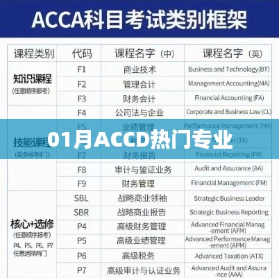 01月ACCD热门专业解析