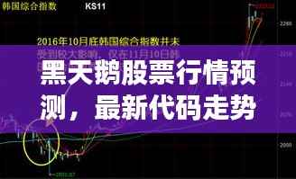 黑天鹅股票行情预测,最新代码走势分析