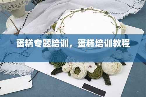 蛋糕专题培训,蛋糕培训教程