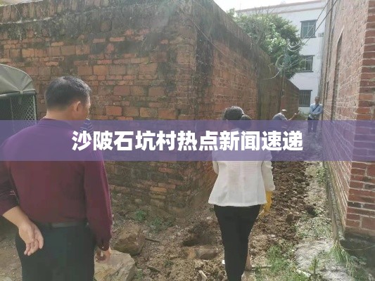 沙陂石坑村热点新闻速递