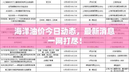 海洋油价今日动态,最新消息一网打尽!