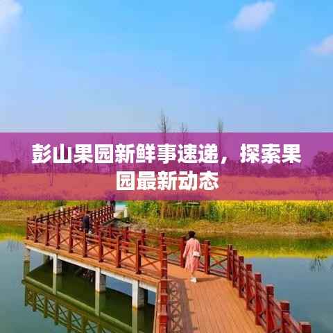 彭山果园新鲜事速递,探索果园最新动态