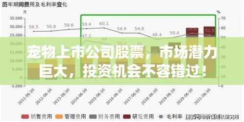 宠物上市公司股票,市场潜力巨大,投资机会不容错过!
