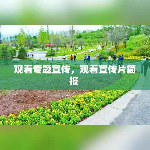 观看专题宣传,观看宣传片简报