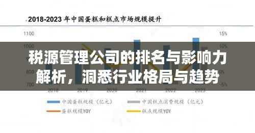 税源管理公司的排名与影响力解析,洞悉行业格局与趋势