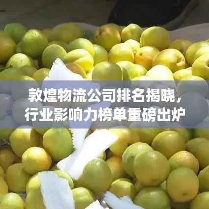 敦煌物流公司排名揭晓,行业影响力榜单重磅出炉!