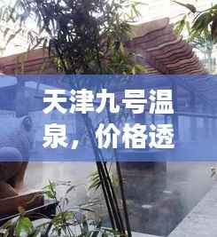 媒体报道 第160页