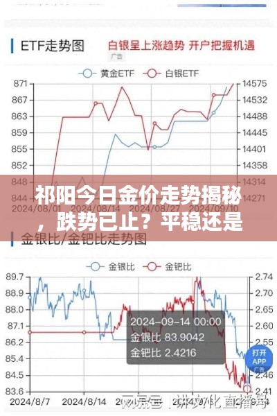 祁阳今日金价走势揭秘,跌势已止?平稳还是波动?
