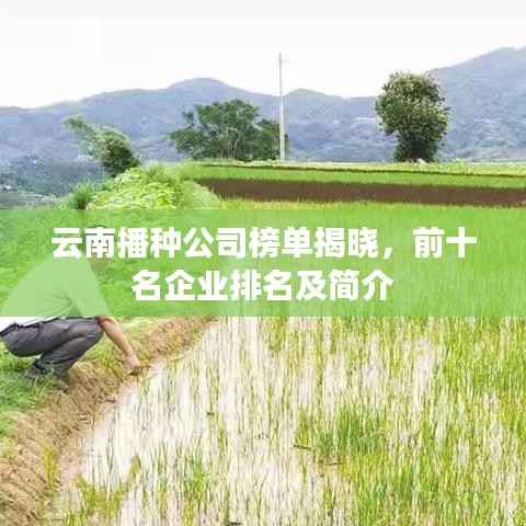 云南播种公司榜单揭晓,前十名企业排名及简介