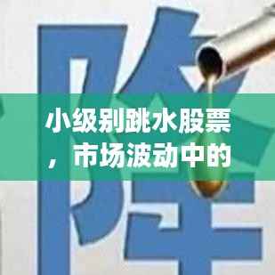 小级别跳水股票,市场波动中的机遇与挑战解析