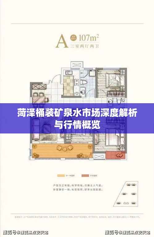 菏泽桶装矿泉水市场深度解析与行情概览