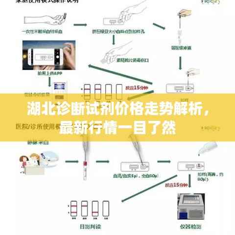 湖北诊断试剂价格走势解析,最新行情一目了然