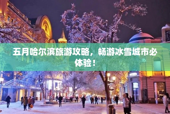 五月哈尔滨旅游攻略,畅游冰雪城市必体验!