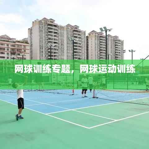 网球训练专题,网球运动训练