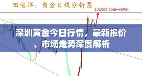 深圳黄金今日行情,最新报价、市场走势深度解析