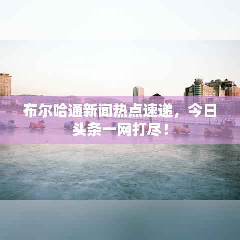 布尔哈通新闻热点速递，今日头条一网打尽！