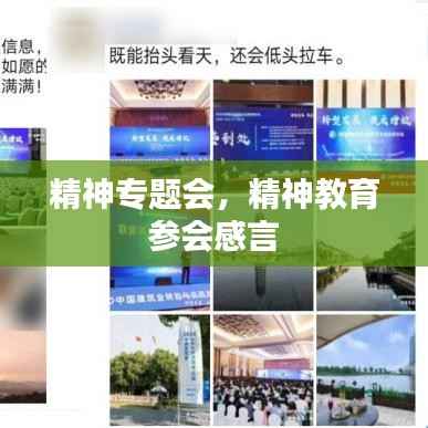 精神专题会,精神教育 参会感言