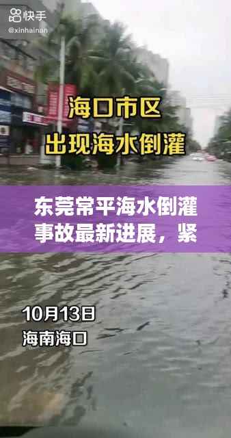 东莞常平海水倒灌事故最新进展，紧急应对与应对措施揭秘