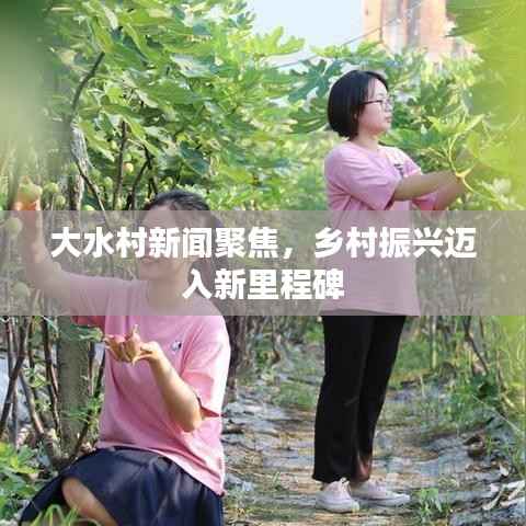 大水村新闻聚焦,乡村振兴迈入新里程碑