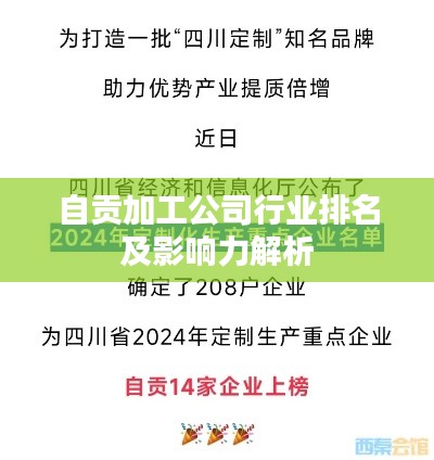 自贡加工公司行业排名及影响力解析