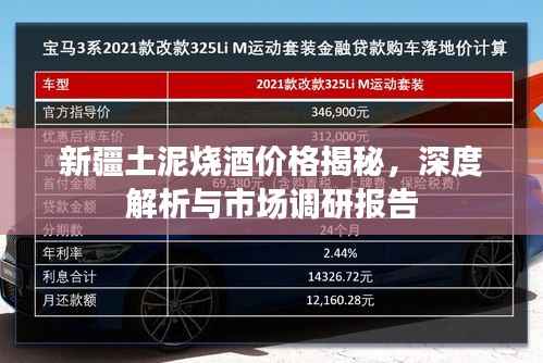 新疆土泥烧酒价格揭秘,深度解析与市场调研报告