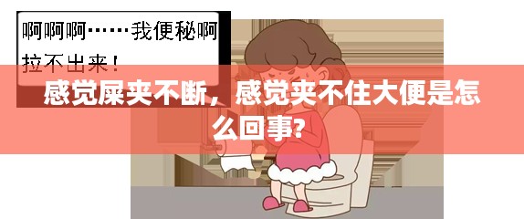 感觉屎夹不断,感觉夹不住大便是怎么回事?