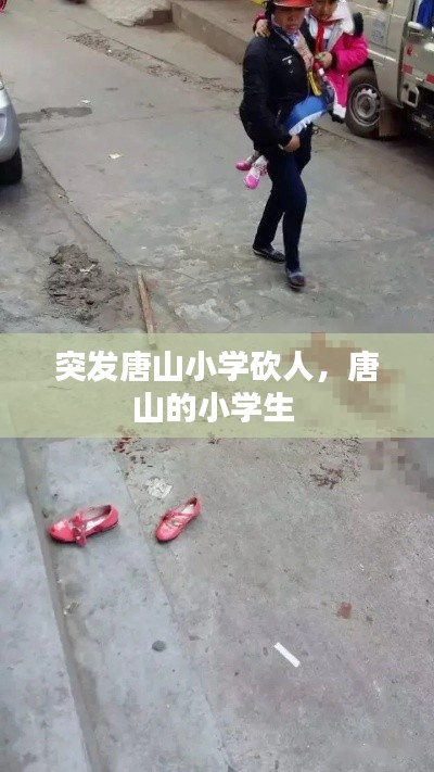 突发唐山小学砍人,唐山的小学生