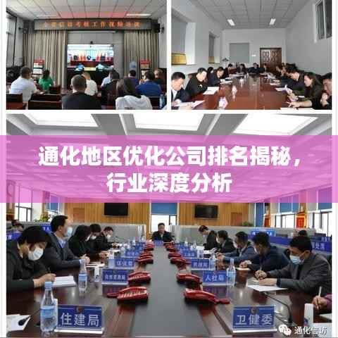 通化地区优化公司排名揭秘，行业深度分析