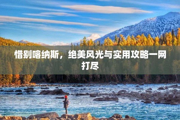 惜别喀纳斯，绝美风光与实用攻略一网打尽
