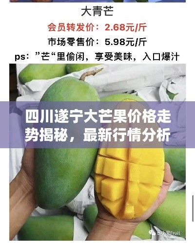 四川遂宁大芒果价格走势揭秘，最新行情分析！
