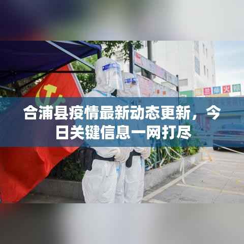 合浦县疫情最新动态更新,今日关键信息一网打尽