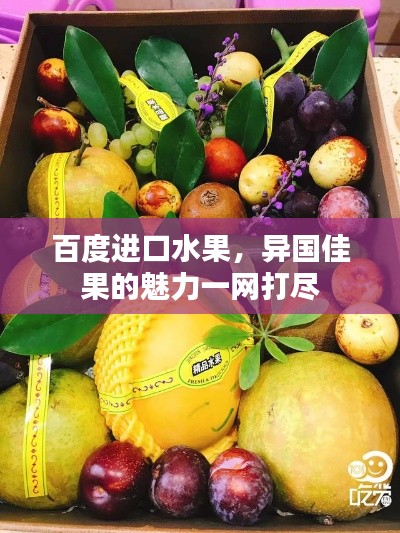 百度进口水果,异国佳果的魅力一网打尽