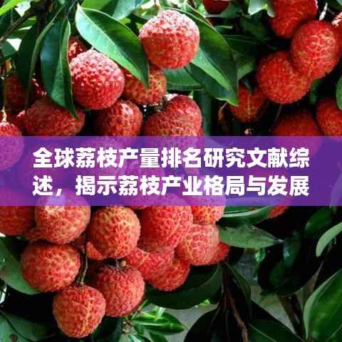 全球荔枝产量排名研究文献综述,揭示荔枝产业格局与发展趋势